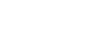 Expert